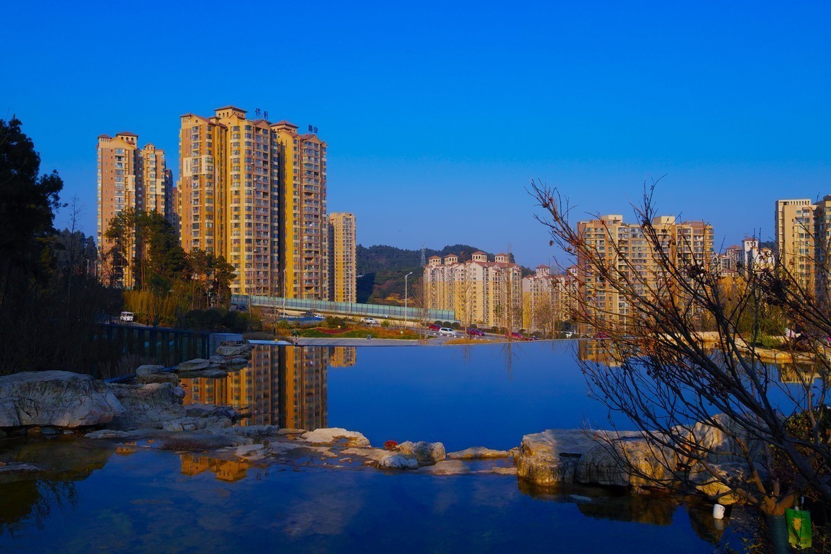 新进适马SDQ H,正好天气不错，试试机