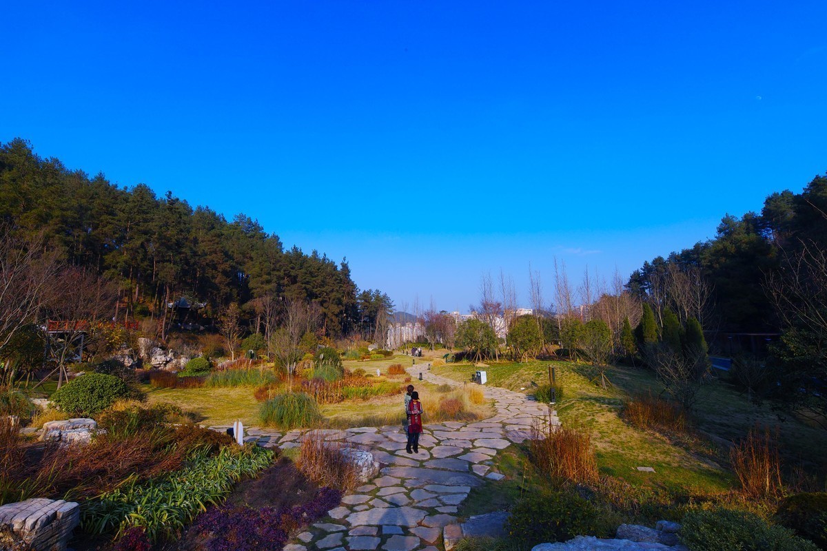 新进适马SDQ H,正好天气不错，试试机