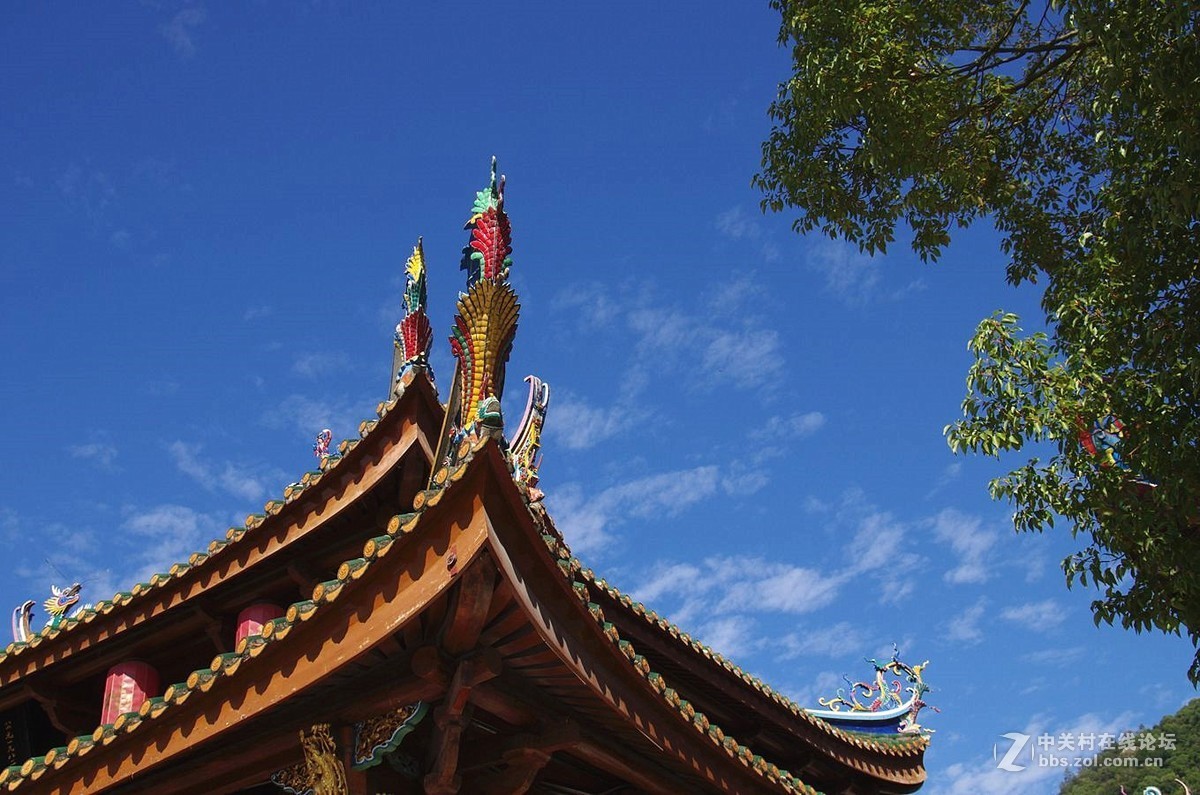 南普陀寺游记续12315p