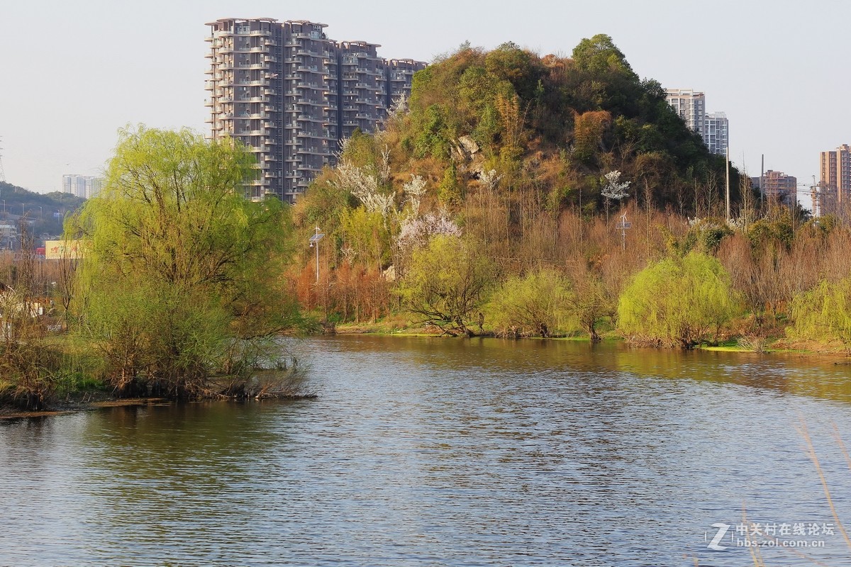 花溪十里河灘溼地公園