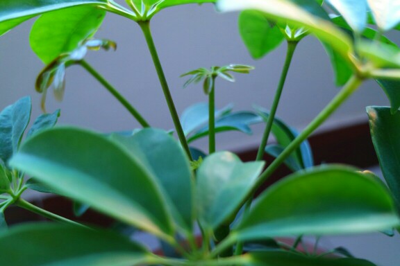 春暖花开