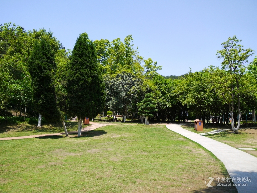 一组家乡的风光……