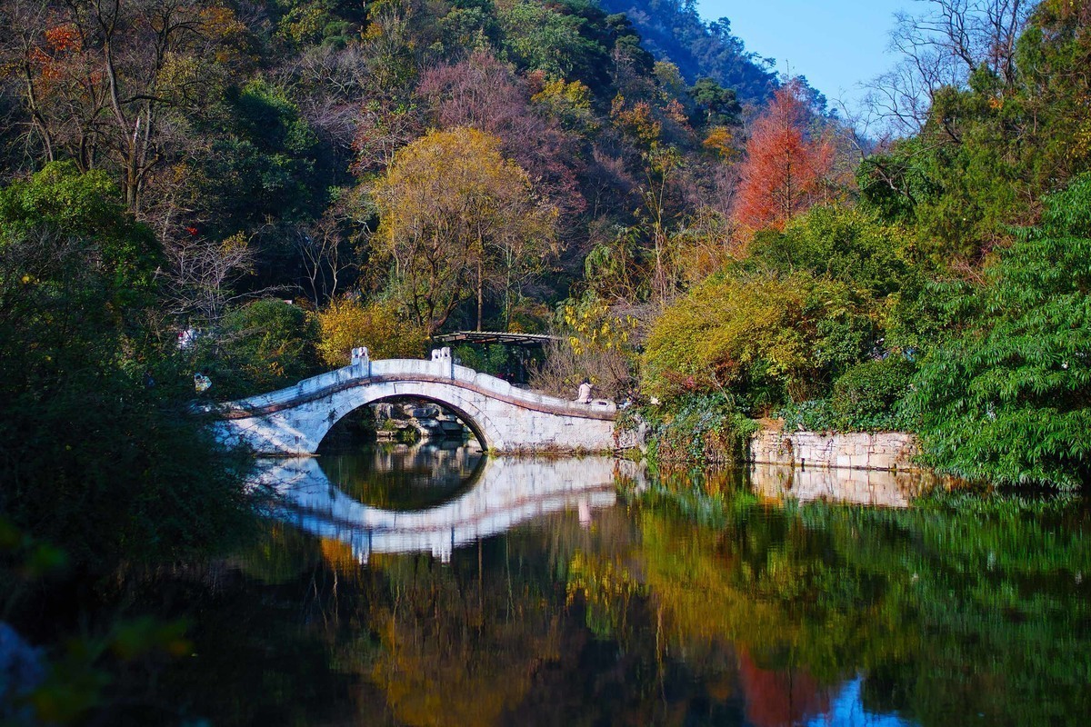 新进适马SDQ H,正好天气不错，试试机