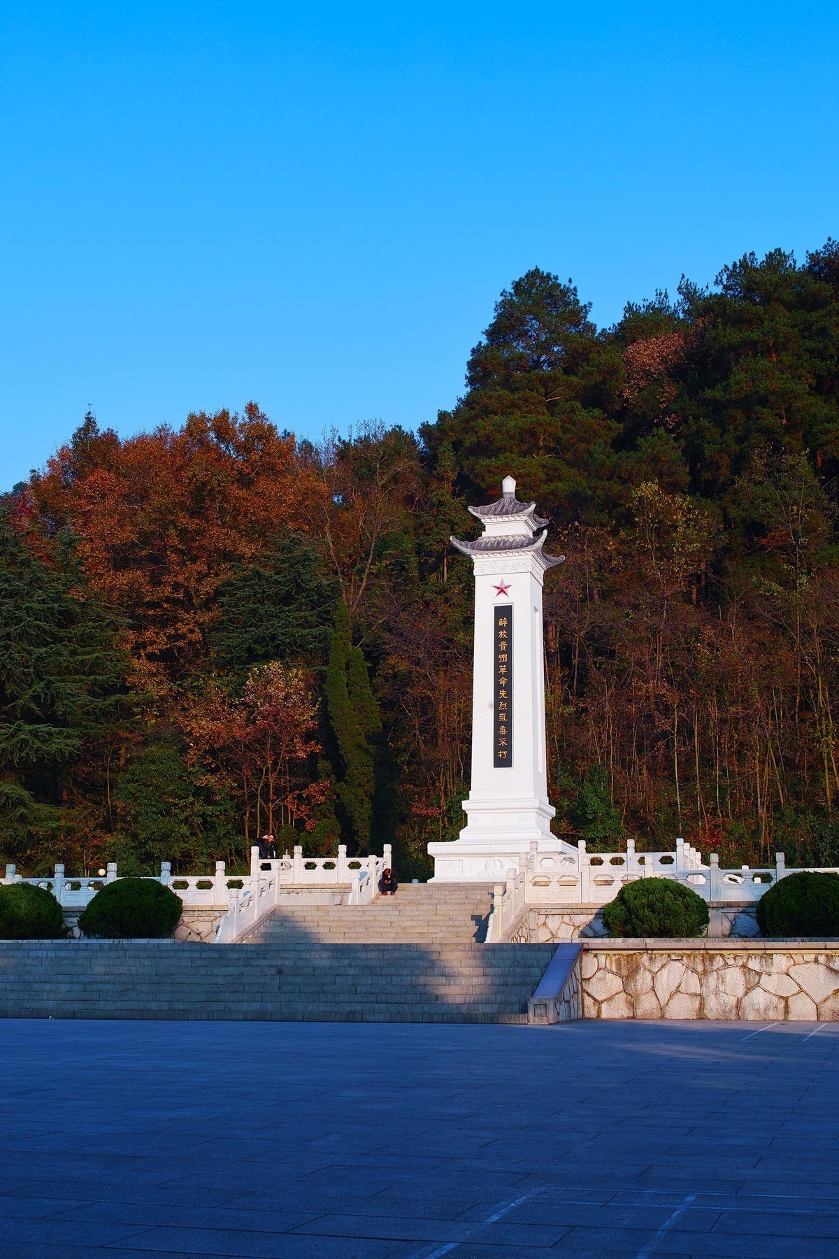 新进适马SDQ H,正好天气不错，试试机