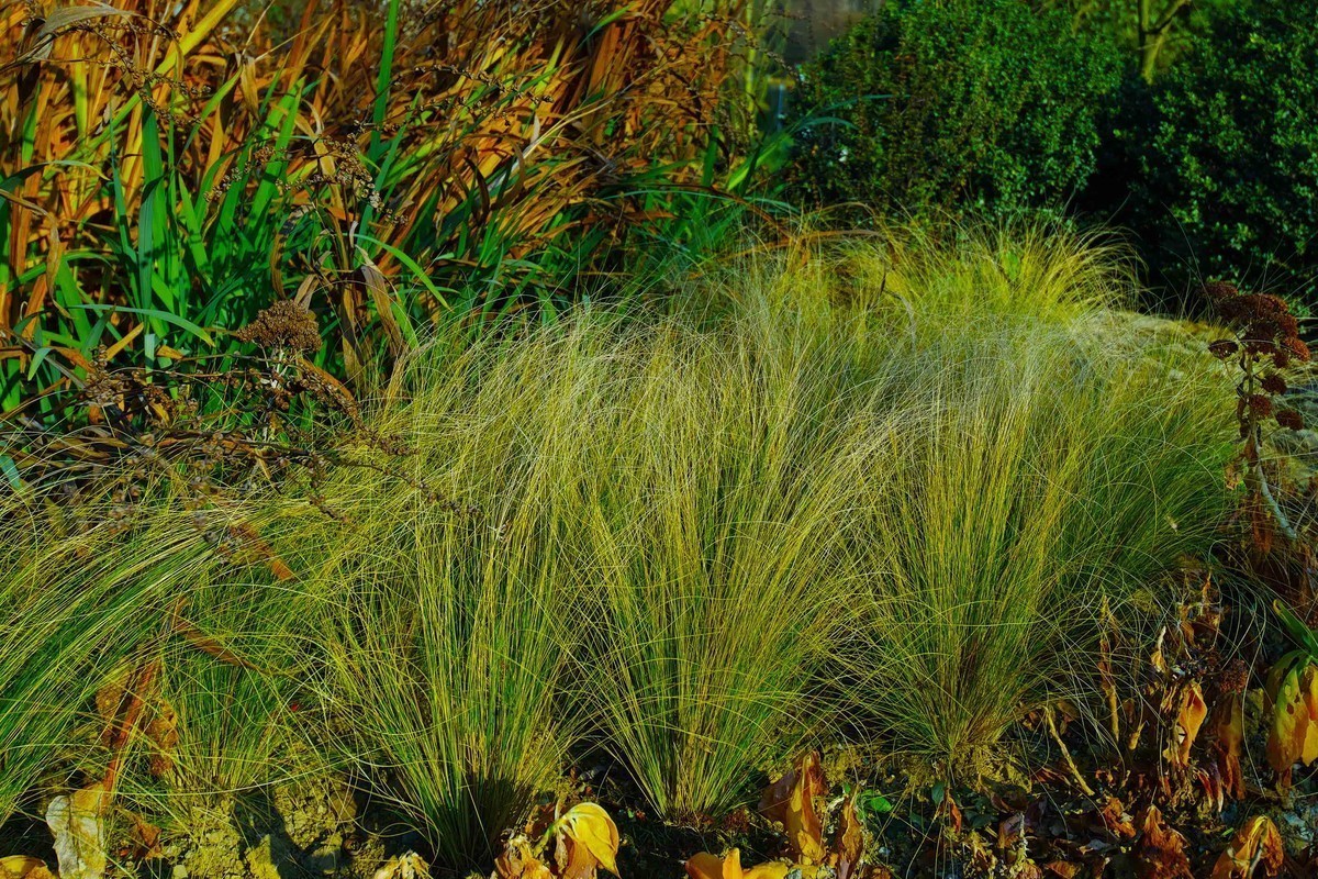 新进适马SDQ H,正好天气不错，试试机