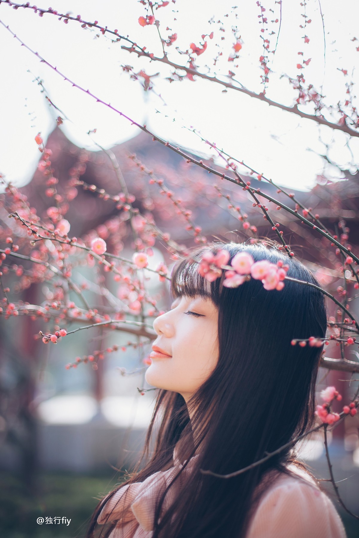 #佳能EOS M100-春天来了#春光慵慵