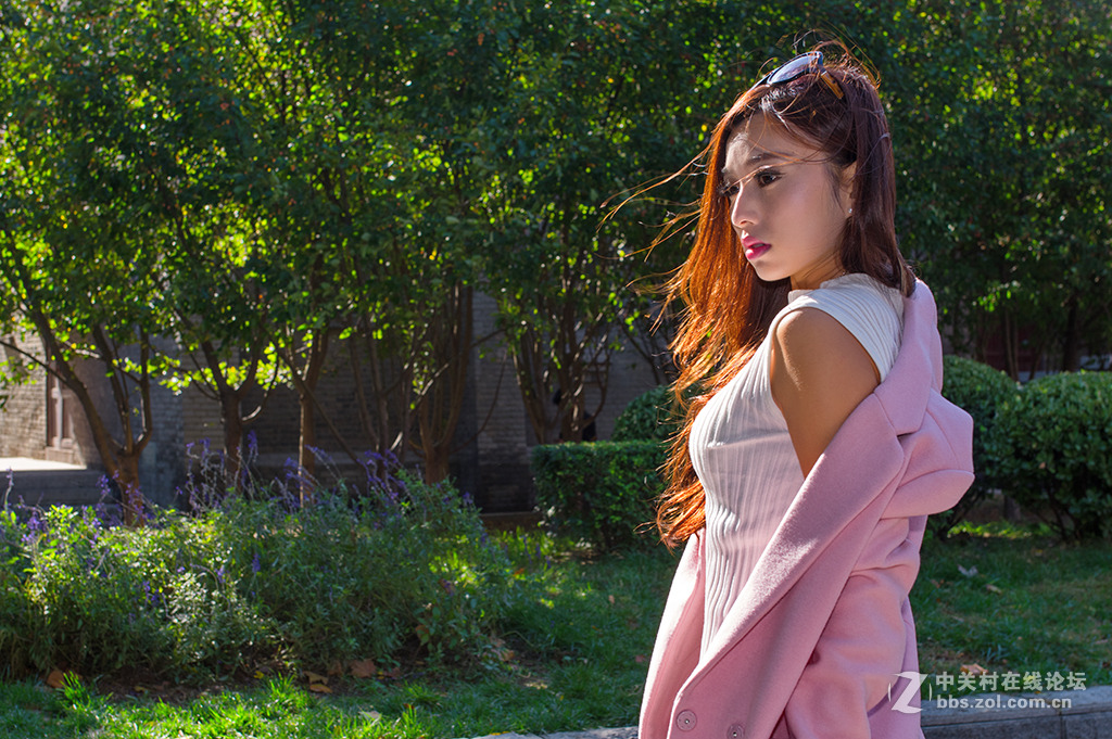 和煦的秋日阳光