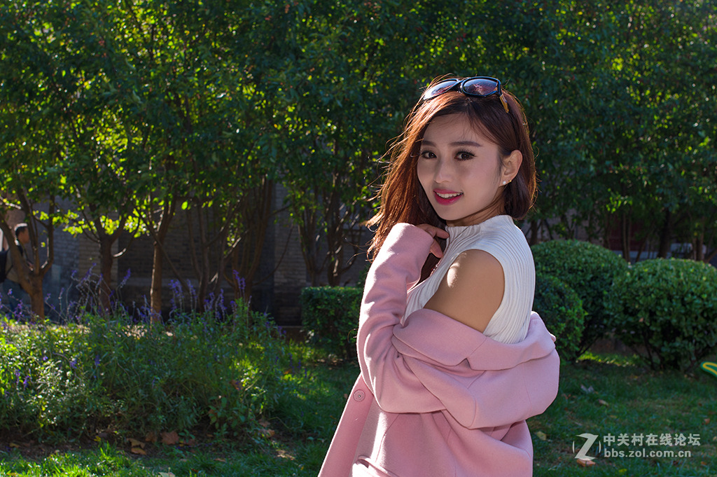 和煦的秋日阳光