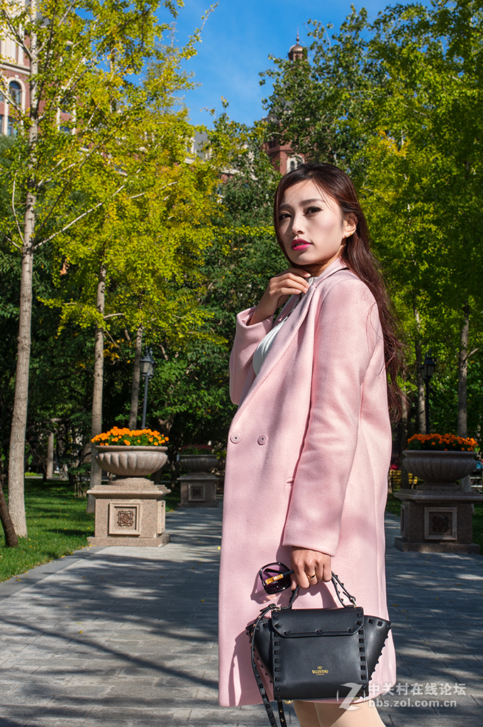 和煦的秋日阳光