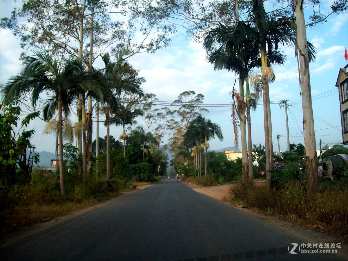 2016国庆（9）S325  竹山到那良