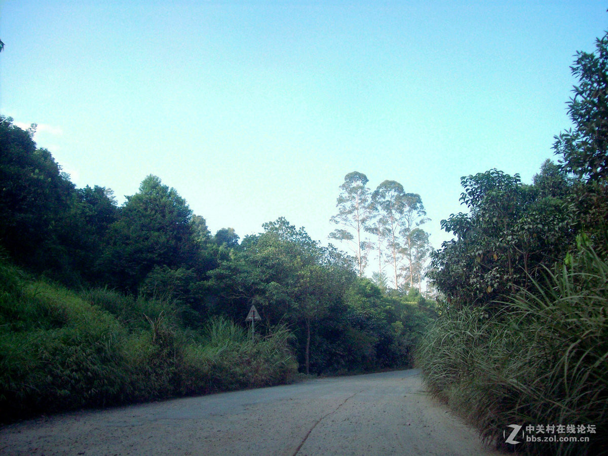 2016国庆（9）S325  竹山到那良