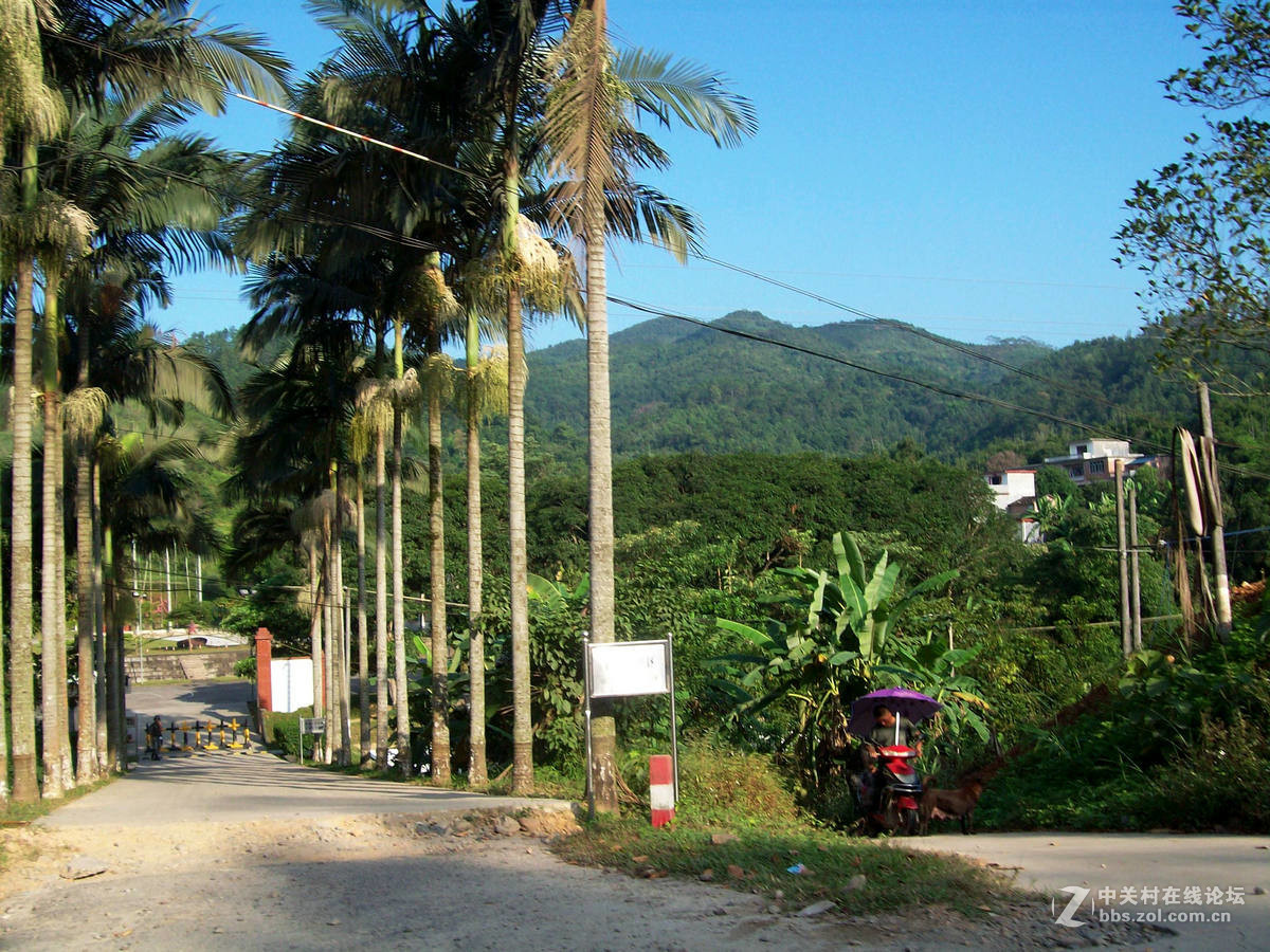 2016国庆（9）S325  竹山到那良