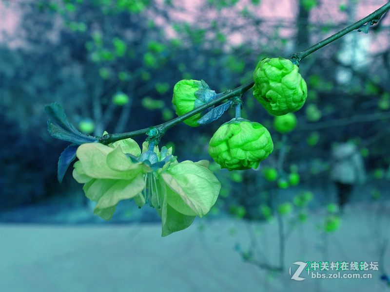 学习中
