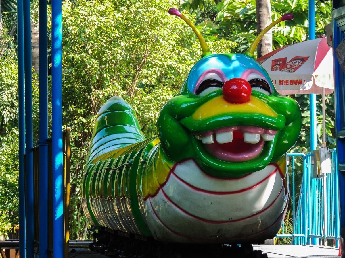 新淘回来的P510随手试拍