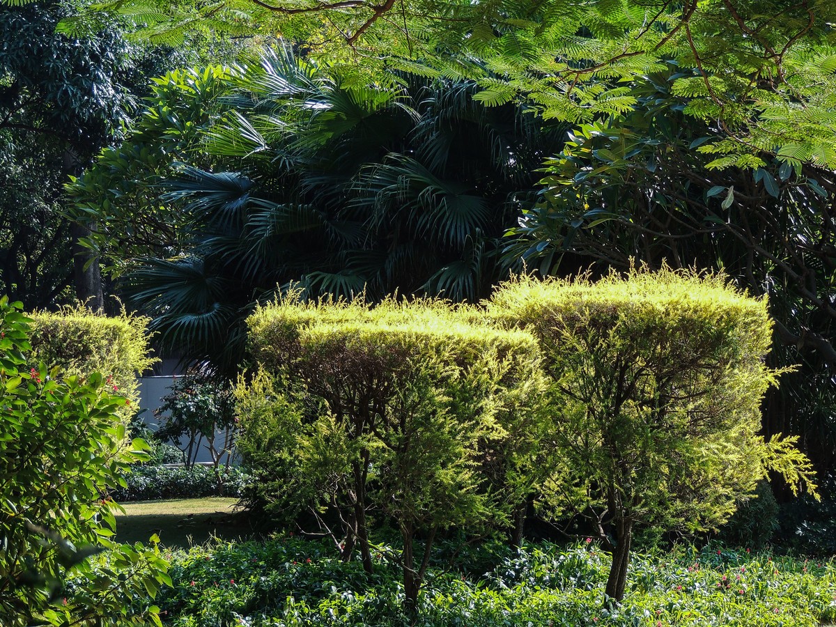 新淘回来的P510随手试拍