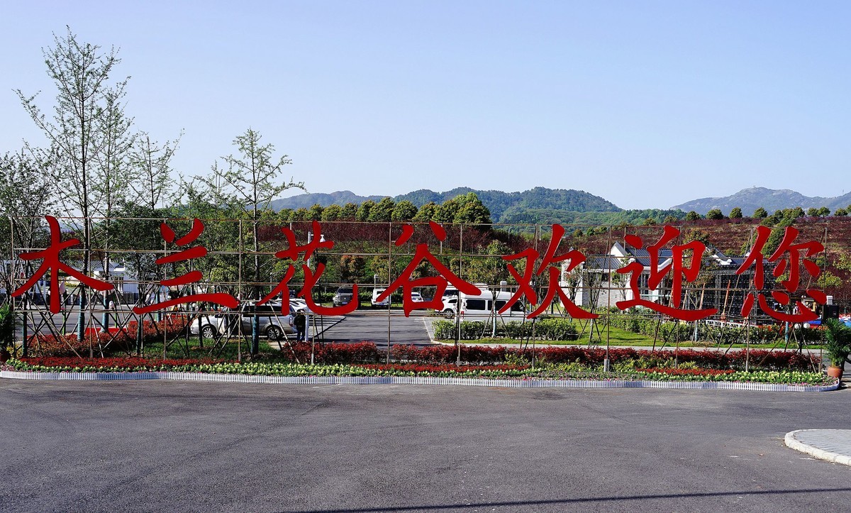 武汉印象--木兰花谷开谷了！。。。。。。