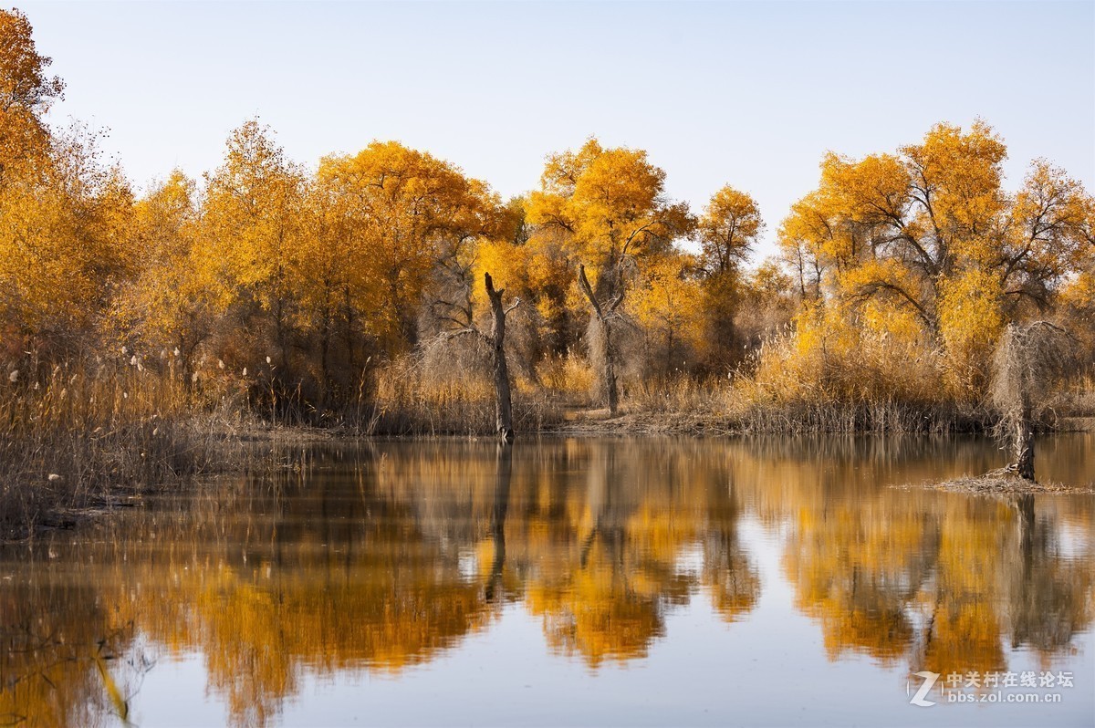 #版主坐堂#2018年12月份《承德》优秀作品选辑
