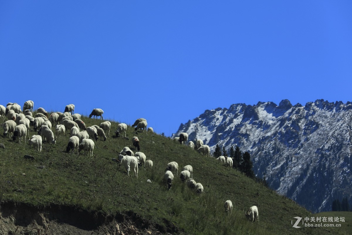 #版主坐堂#2018年12月份《承德》优秀作品选辑