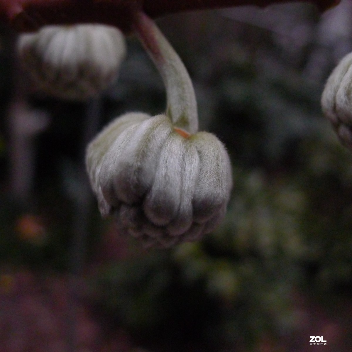 尝试原图未做任何处理原尺寸直接上传