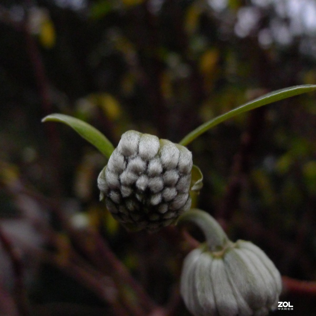 尝试原图未做任何处理原尺寸直接上传