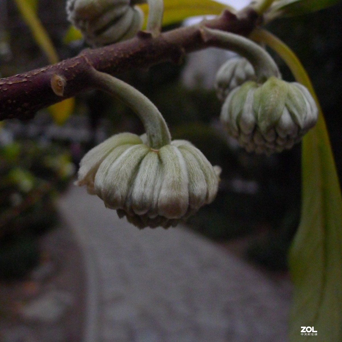 尝试原图未做任何处理原尺寸直接上传