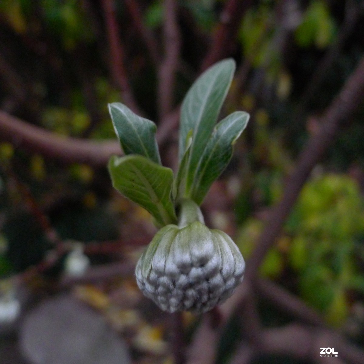 尝试原图未做任何处理原尺寸直接上传