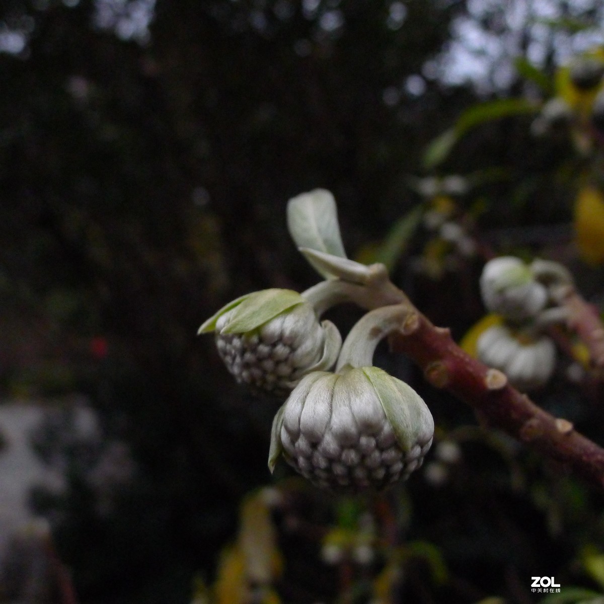 尝试原图未做任何处理原尺寸直接上传