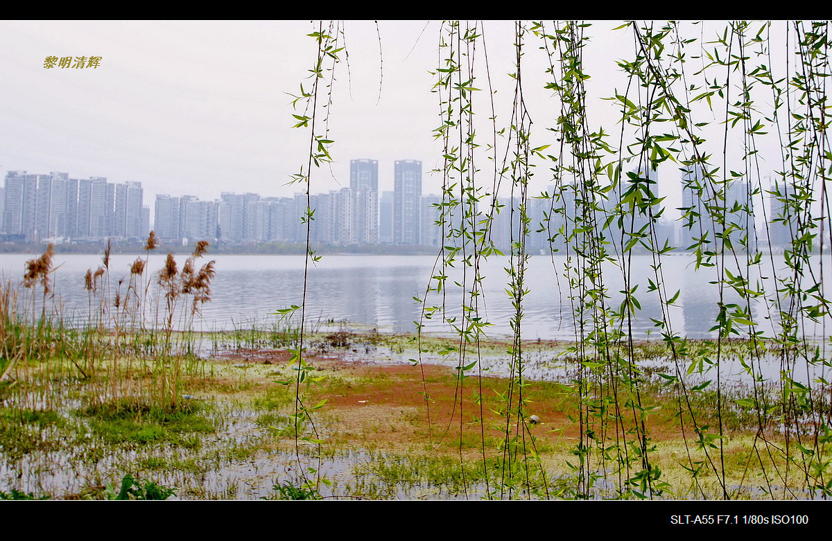 #版主坐堂#2017年6月份《承德》优秀作品选辑