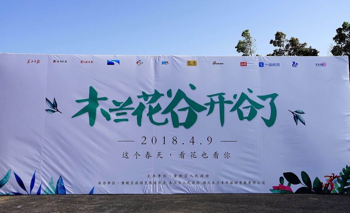武汉印象--木兰花谷开谷了！。。。。。。