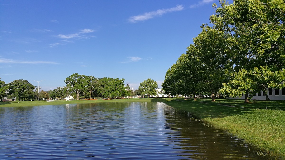 阳光灿烂的早晨