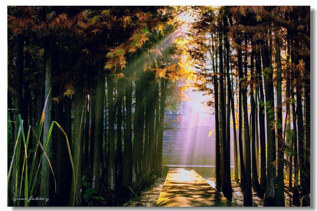 #版主坐堂#2018年12月份《承德》优秀作品选辑