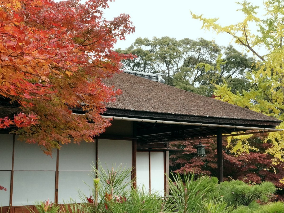 日本关西赏枫游8大河内山庄庭园