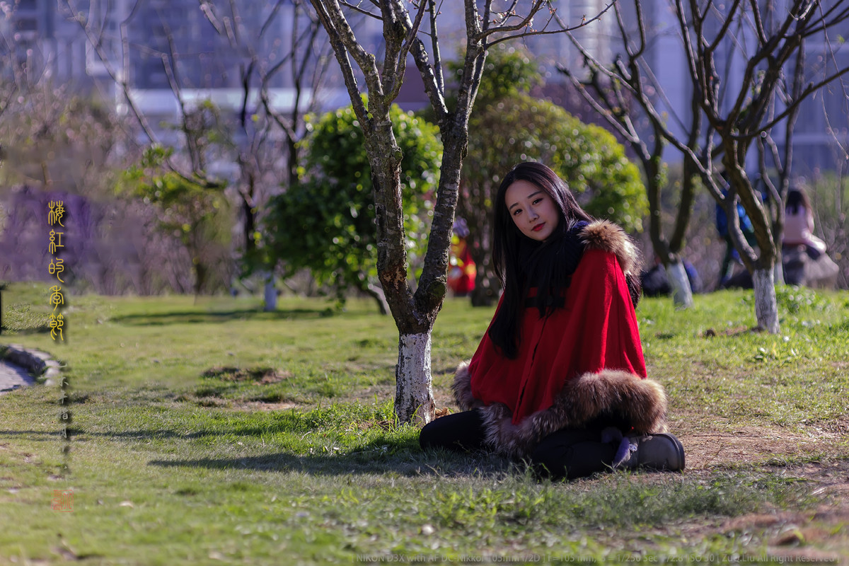 #ZOL月赛—你好2016# - 梅红的季节