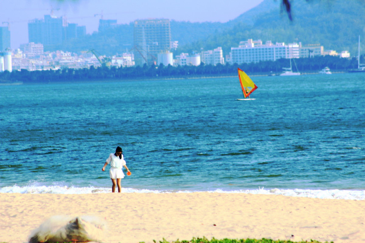 海滩畅想曲