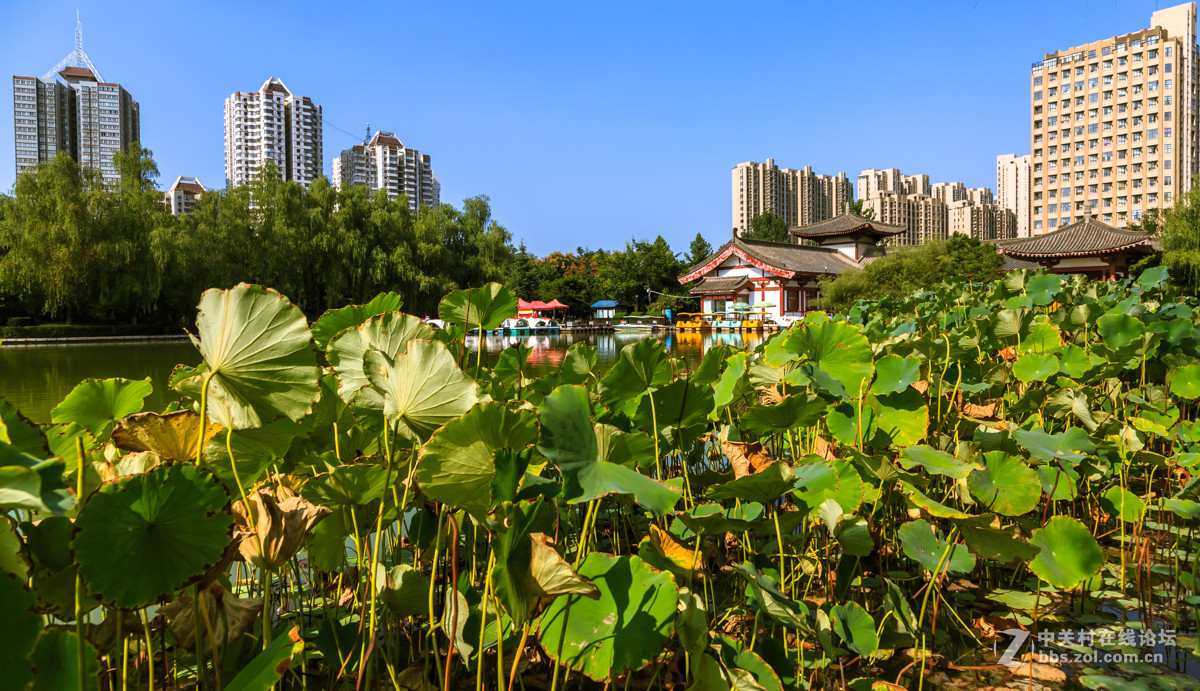 夏末公园的死角正式版图片