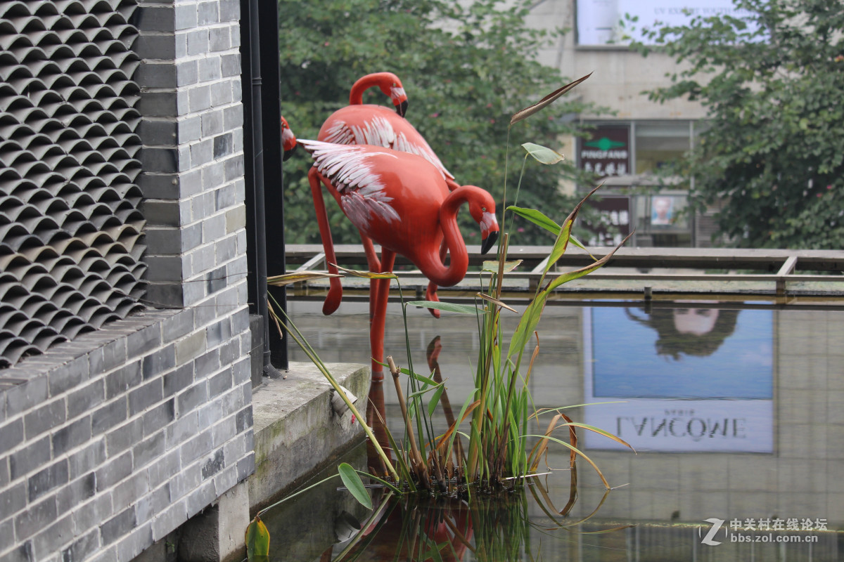 霾雾难淹花色美（1200D+55-250STM）