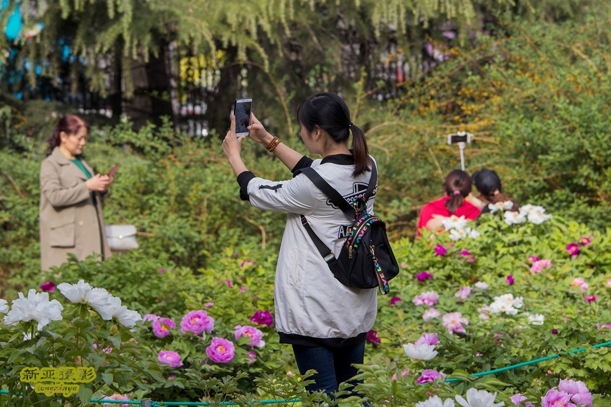 #佳能迷你单反EOS 200D-轻装绘青#踏青寻花