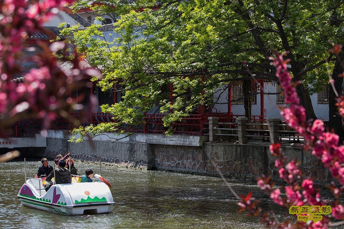 #佳能迷你单反EOS 200D-轻装绘青#踏青寻花