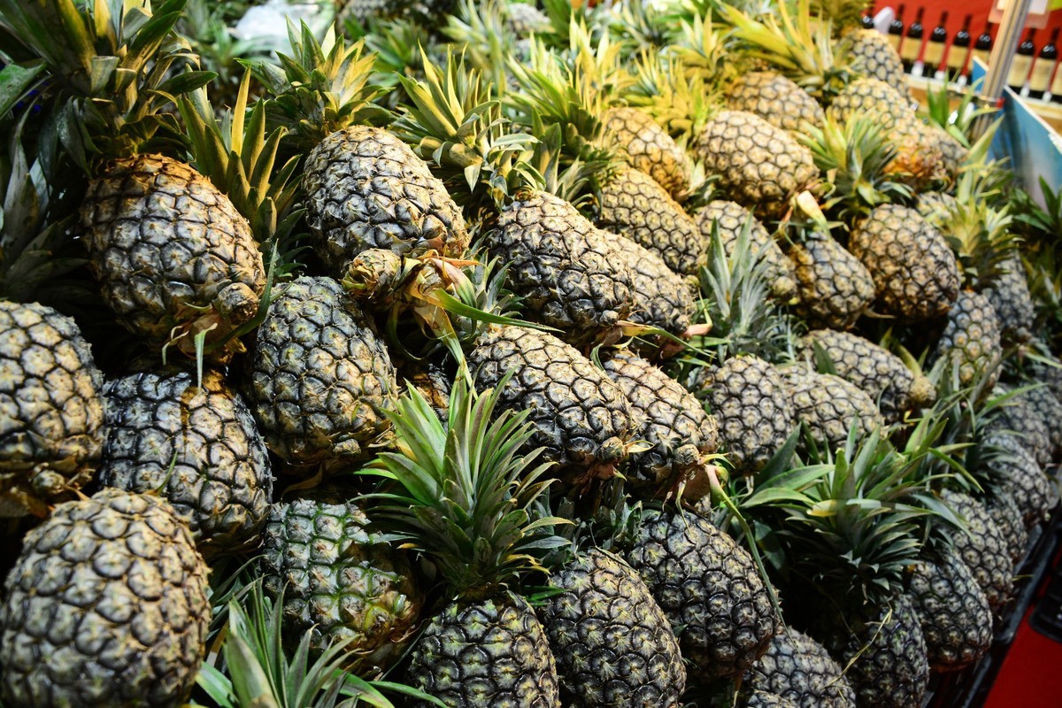 2018中国?营口望儿山国际妇女儿童系列产品博览会