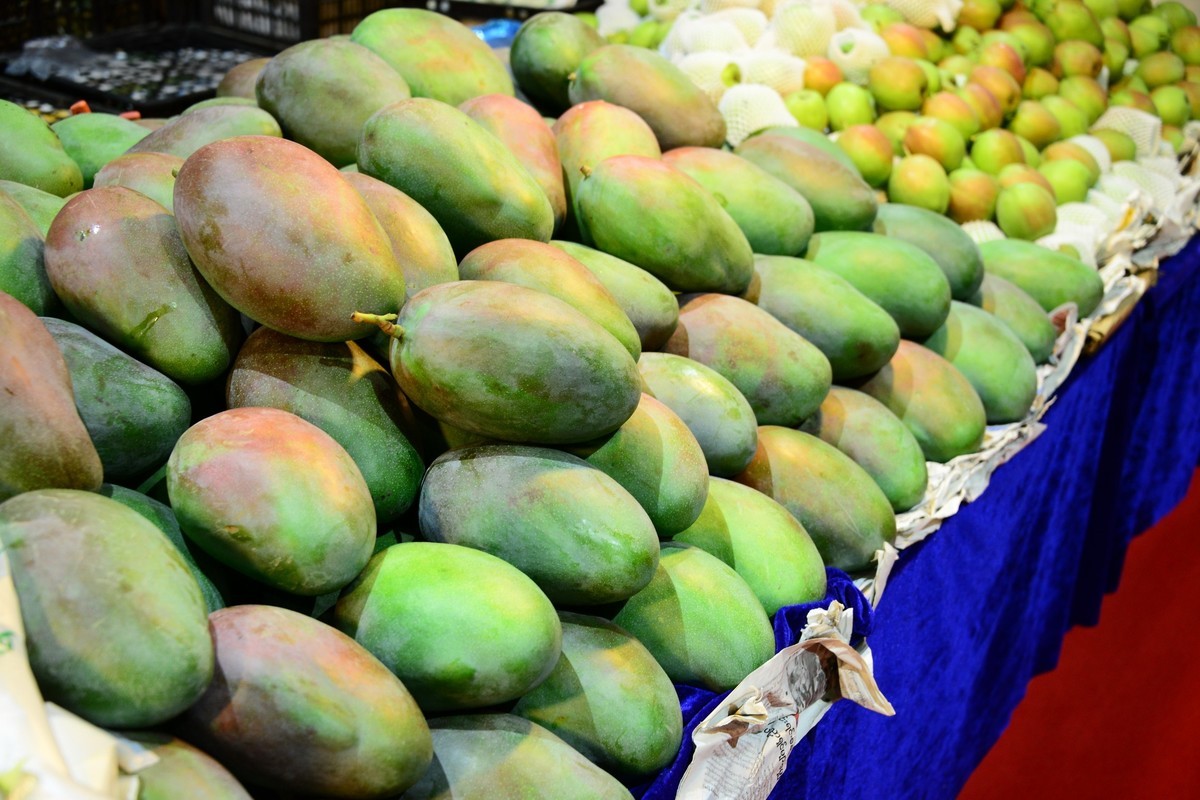 2018中国?营口望儿山国际妇女儿童系列产品博览会