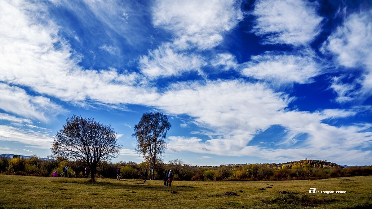 塞罕坝的天高云淡1