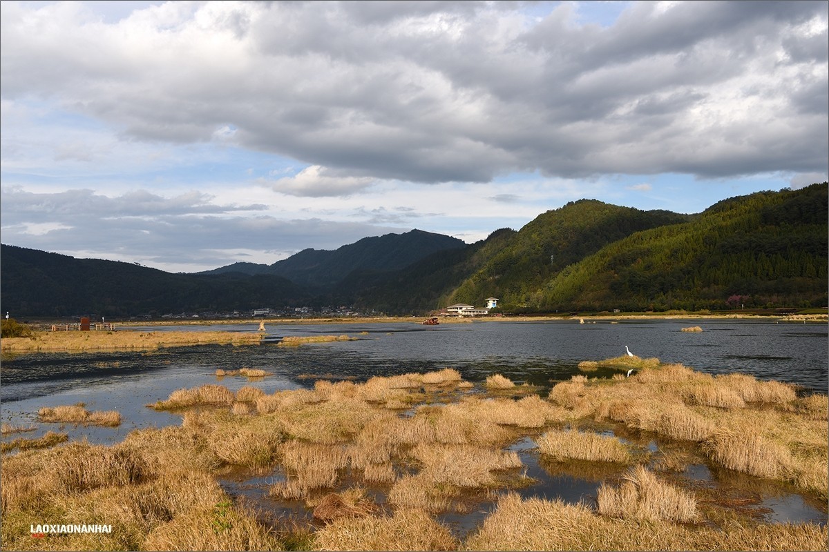 2020年第019貼騰衝北海溼地公園0118f