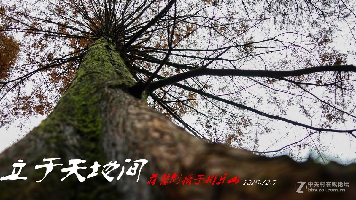生在山水里 立于天地间