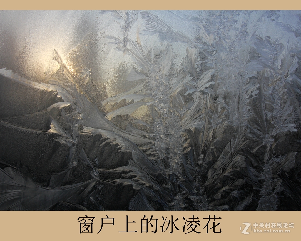 列车窗上的冰凌花