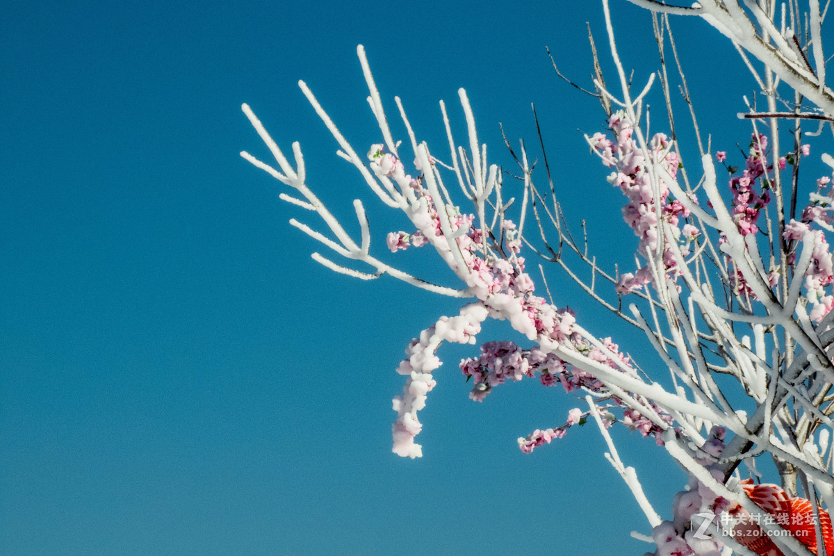 长城雪乡（以假乱真）