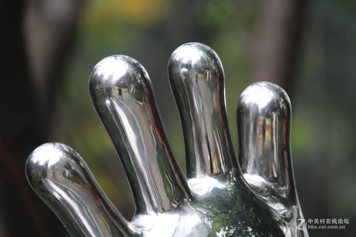 霾雾难淹花色美（1200D+55-250STM）