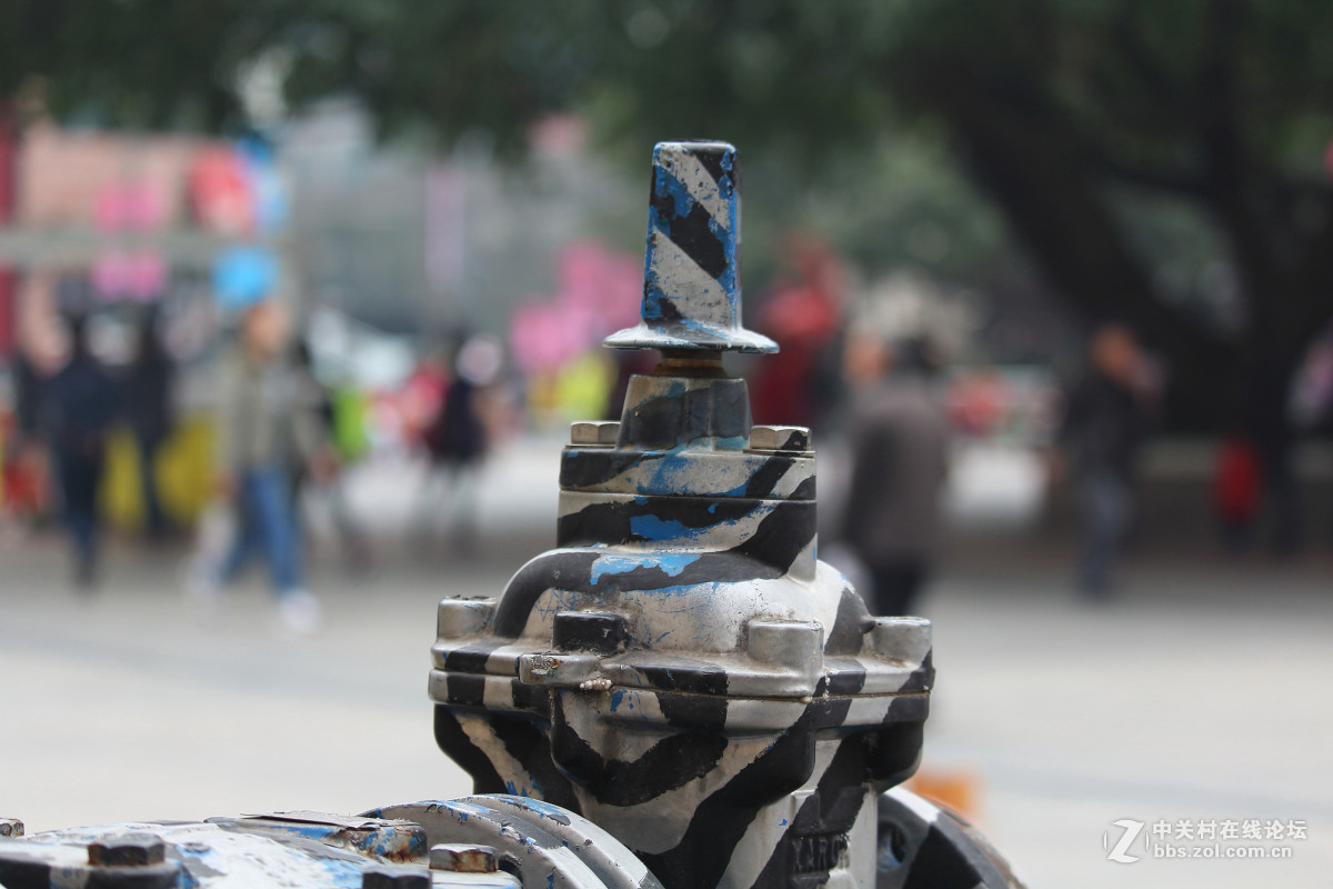 霾雾难淹花色美（1200D+55-250STM）