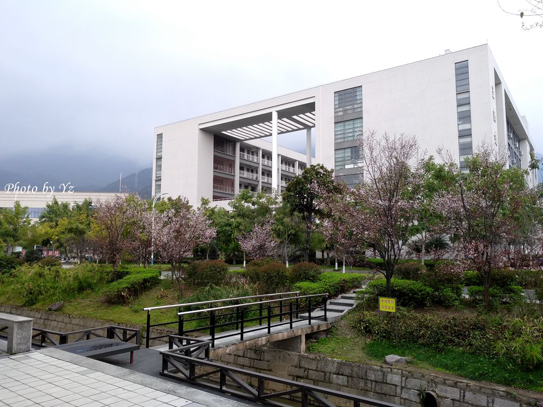 手摄------雾空之校园剪景