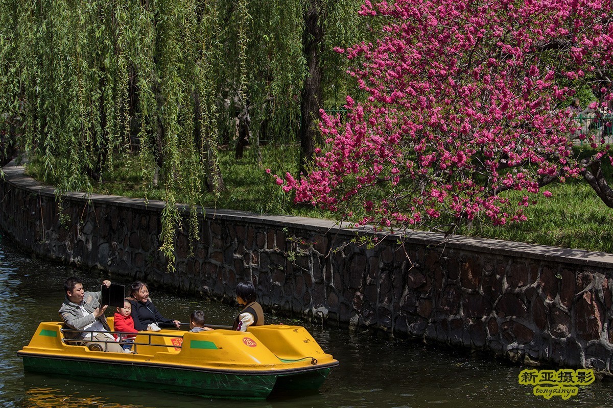 #佳能迷你单反EOS 200D-轻装绘青#踏青寻花