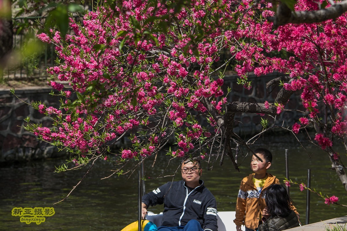 #佳能迷你单反EOS 200D-轻装绘青#踏青寻花